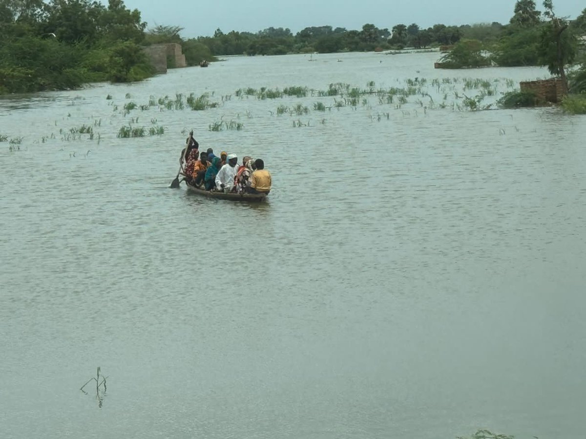 WFP_Cameroon's tweet photo. #Cameroon 🇨🇲 
@WFP_Cameroon is on the ground in Kousseri, conducting household surveys and providing assistance to those displaced by the floods in the Far North Region. 
#SavingLives 
#ChaningLives
#FloodRelief https://t.co/Nmvc0dc5vX
