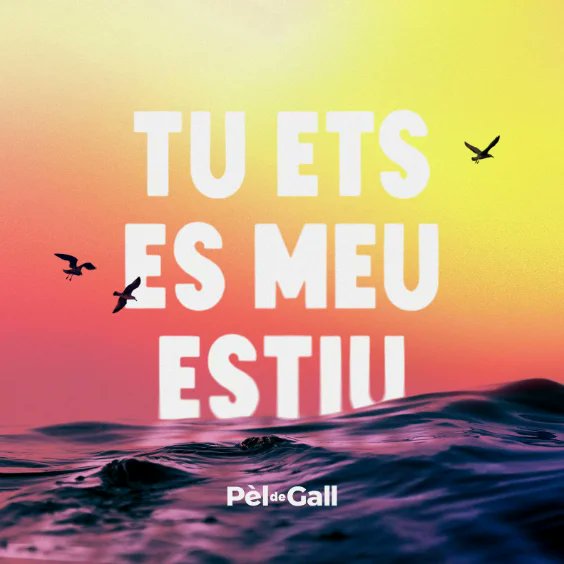 🎶 Pèl De Gall llança el seu nou senzill "Tu ets es meu estiu", una balada plena de sentiment i nostàlgia que captivarà tothom. #NouLlançament #Musica uepmallorca.app/pel-de-gall-ll…