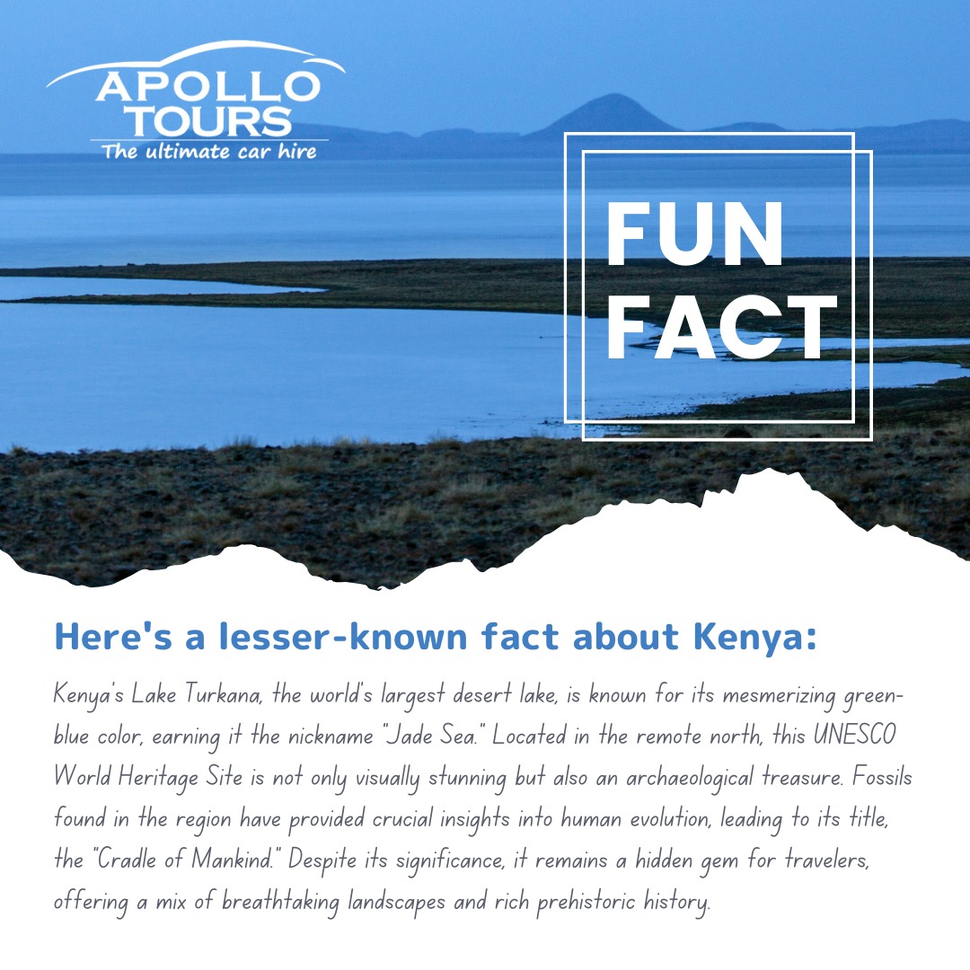 ApolloTour1600's tweet photo. Discover Lake Turkana, Kenya’s hidden gem &amp; the world’s largest desert lake, called the "Jade Sea" for its stunning waters. 🌊 A UNESCO site &amp; the "Cradle of Mankind," it’s a must-visit for adventurers!

 🌍✨ Explore with Apollo Tours. 

#KenyaTravel #LakeTurkana #ApolloTours https://t.co/XpXL6DG7WO