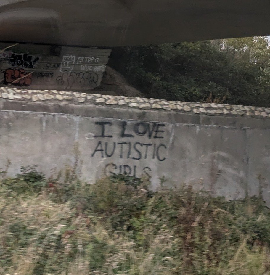 Very specific graffiti spotted on the way up to Dublin for the <a href="/AsIAmIreland/">AsIAm</a> conference