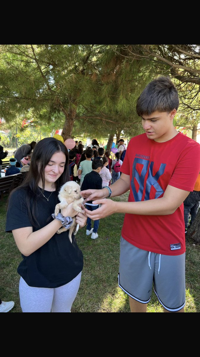 BK Sosyal Yardımlaşma Kulübünün Hayvanları Koruma Günü Kapsamında başlattığı Mama Kampanyasında topladığımız mamaları,kulüp öğrencilerimiz ve danışman öğretmenlerimiz Derya ÇALIŞKAN -Sinem KOYUNCU eşliğinde Esenyurt Hayvan barınağına götürdük.Emeği geçen herkese teşekkür ederiz.