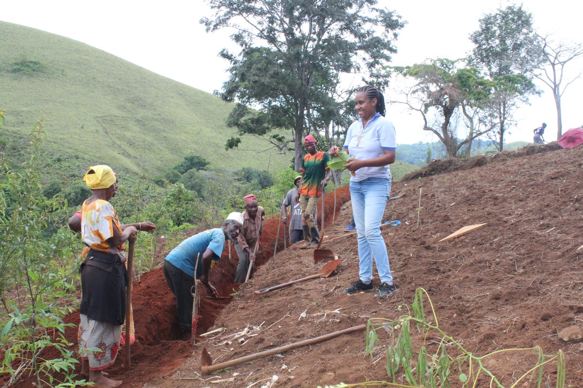 Agricultural productivity in the sloped areas of certain #EAMs, such as the Amani Nature Forest Reserve, has historically been low due to nutrient depletion, water runoff, and soil erosion, severely impacting farming for nearby communities. Consequently, maize yields were limited
