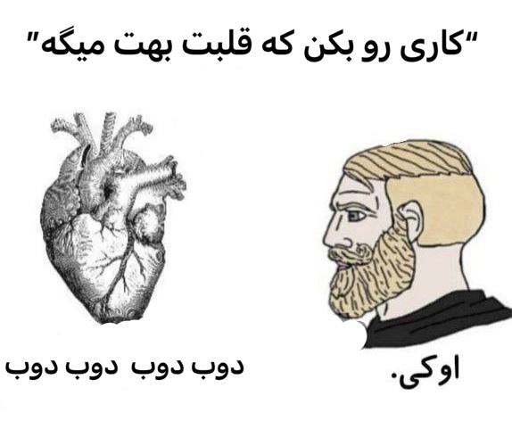 لینگویینی (@stervende__) on Twitter photo 