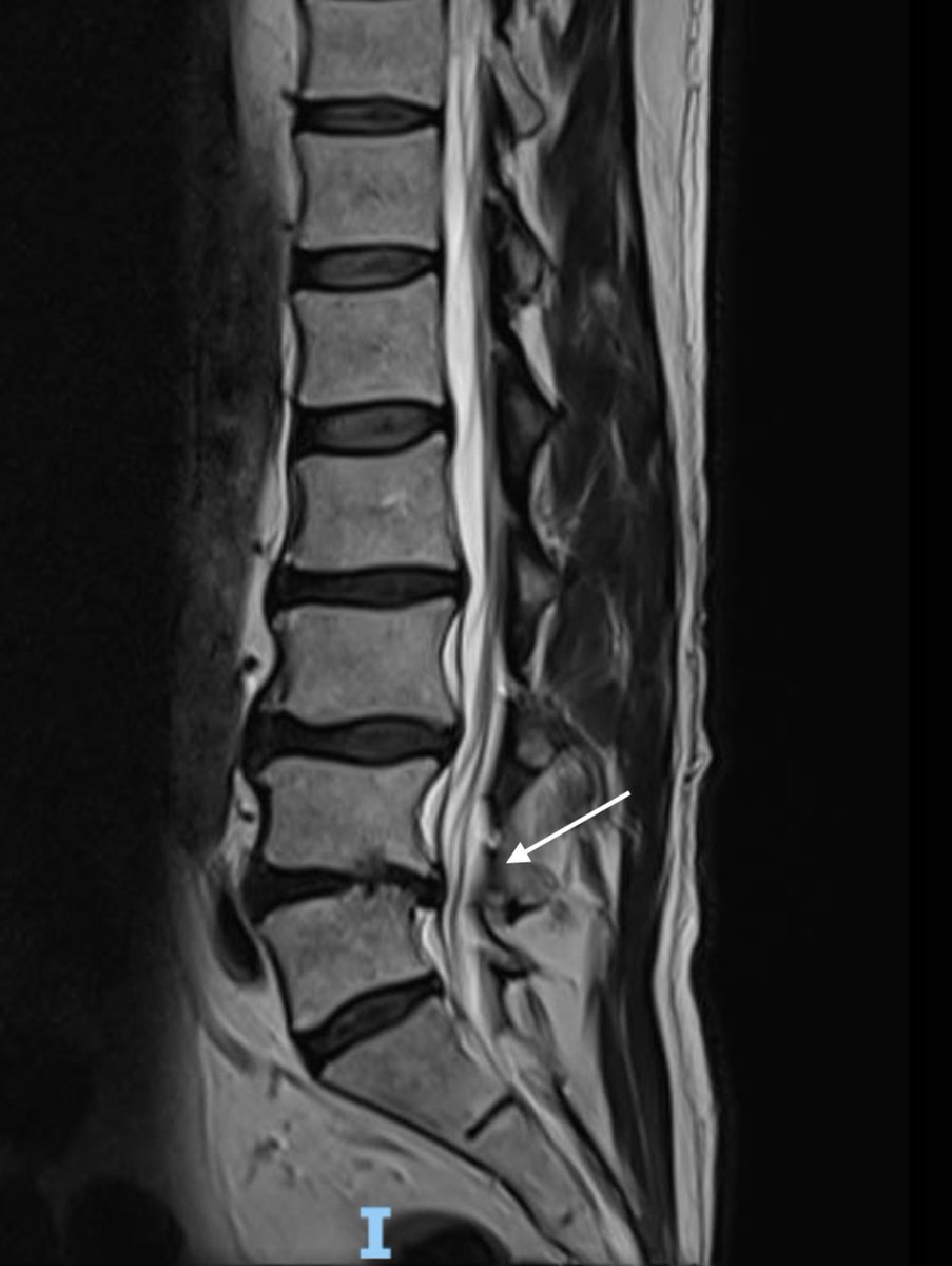 James Noake tweet media