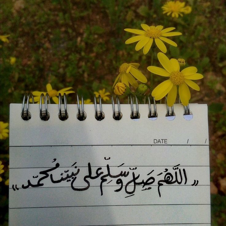 "إِنَّ اللَّهَ وَمَلَائِكَتَهُ يُصَلُّونَ عَلَى النَّبِيِّ ۚ يَا أَيُّهَا الَّذِينَ آمَنُوا صَلُّوا عَلَيْهِ وَسَلِّمُوا تَسْلِيمًا"

#جمعة_مباركة ❤️🇵🇸