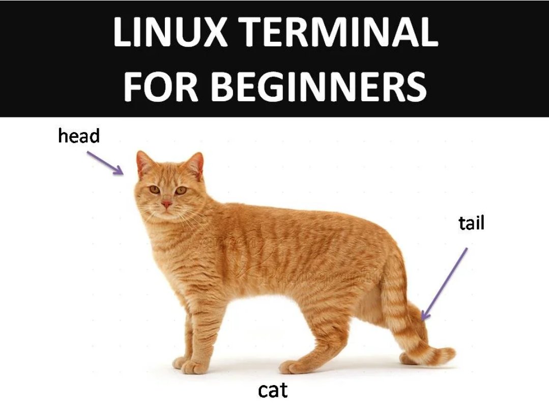 hackinarticles's tweet image. Pic of the Day

#infosec #cybersecurity #cybersecuritytips #pentesting #cybersecurityawareness #informationsecurity