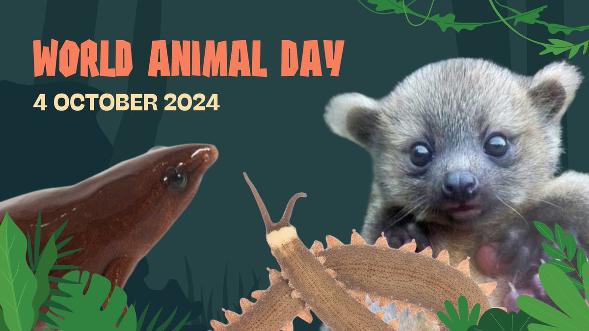 Pensoft's tweet photo. Happy #WorldAnimalDay! 

Today we celebrate the incredible species roaming our planet and promote action for animal rights and welfare.

To mark the occasion, we have collected some of our favourite animals published across Pensoft’s journal portfolio:

🔗 https://t.co/N1WWpTIhr8 https://t.co/X3z6aR6IrB