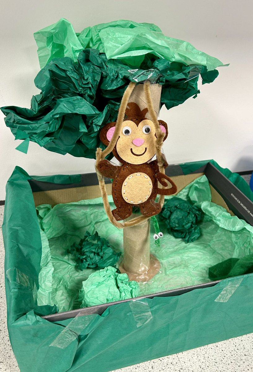 missmurphybio's tweet photo. Some of the fantastic entries from STEM Club for our own Bio Craft Competition! 🎨🐢🐒🤩 
@BoclairBiology @BoclairAcademy https://t.co/D0jIbxfvrw