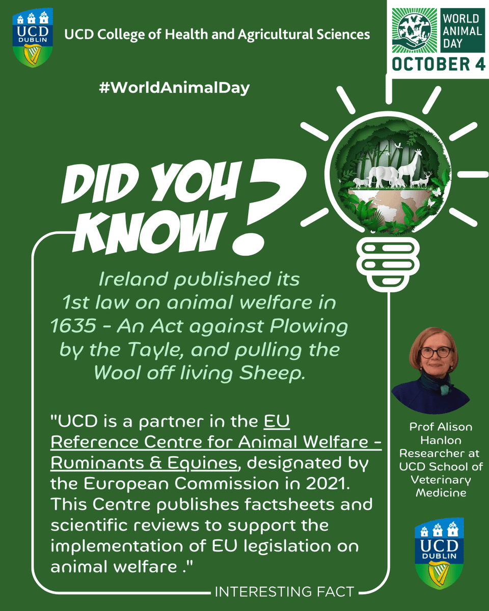 UCD_CHAS's tweet photo. #WorldAnimalDay #AnimalWelfare #SustainableFarming #EUAnimalRights #UCDResearch https://t.co/YlKenW9HWh