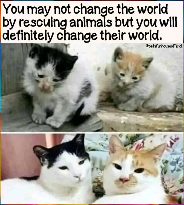 Varvara (@var_varska) on Twitter photo 