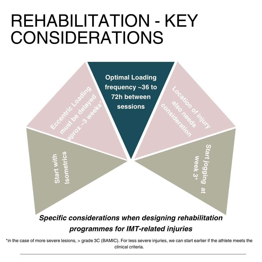 agmendes_physio's tweet photo. 🛠️ Considering factors during muscle injury rehabilitation with IMT involvement. I am presenting my approach to dealing with these injuries and adapting the approach using evidence-based strategies.

#muscleinjuries #musclerehab #sportsmedicine #sportsrehab https://t.co/hv0V9YDW4j