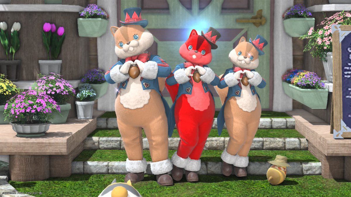 夜御 🍅 (@capsaicintomato) on Twitter photo 