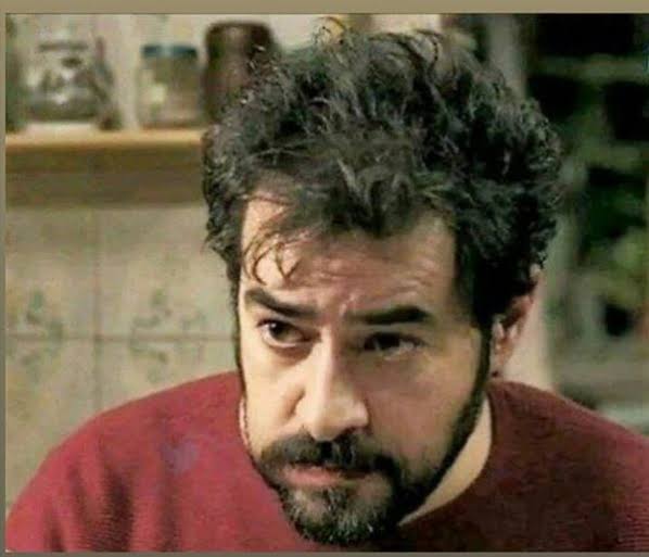 🐺 آقاشاه ( ایالات متحده ایران ) tweet media