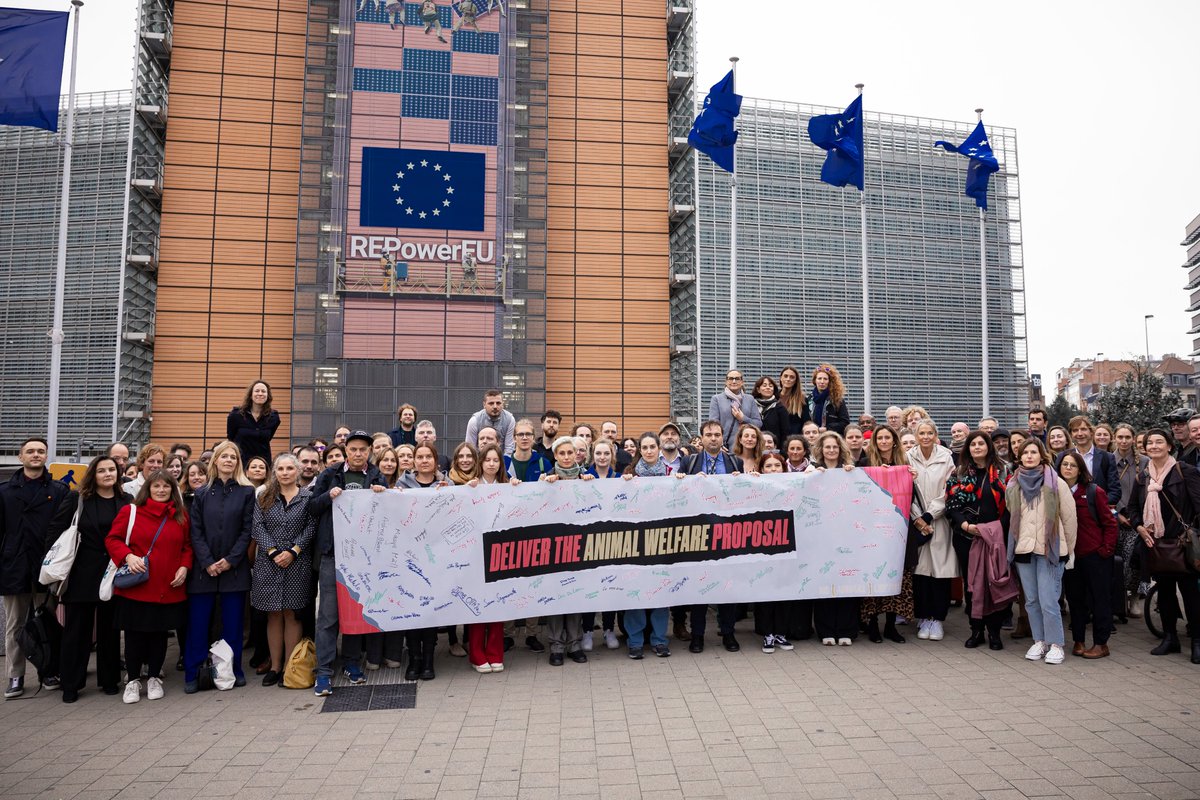 📢 On this #WorldAnimalDay we have just one message: <a href="/EU_Commission/">European Commission</a>, #DelivertheProposal for better animal welfare. 

Animals have waited long enough. The time to act and do better is now. No more delays. 

#EndTheCageAge #FurFreeEurope #SaveCrueltyFreeCosmetics