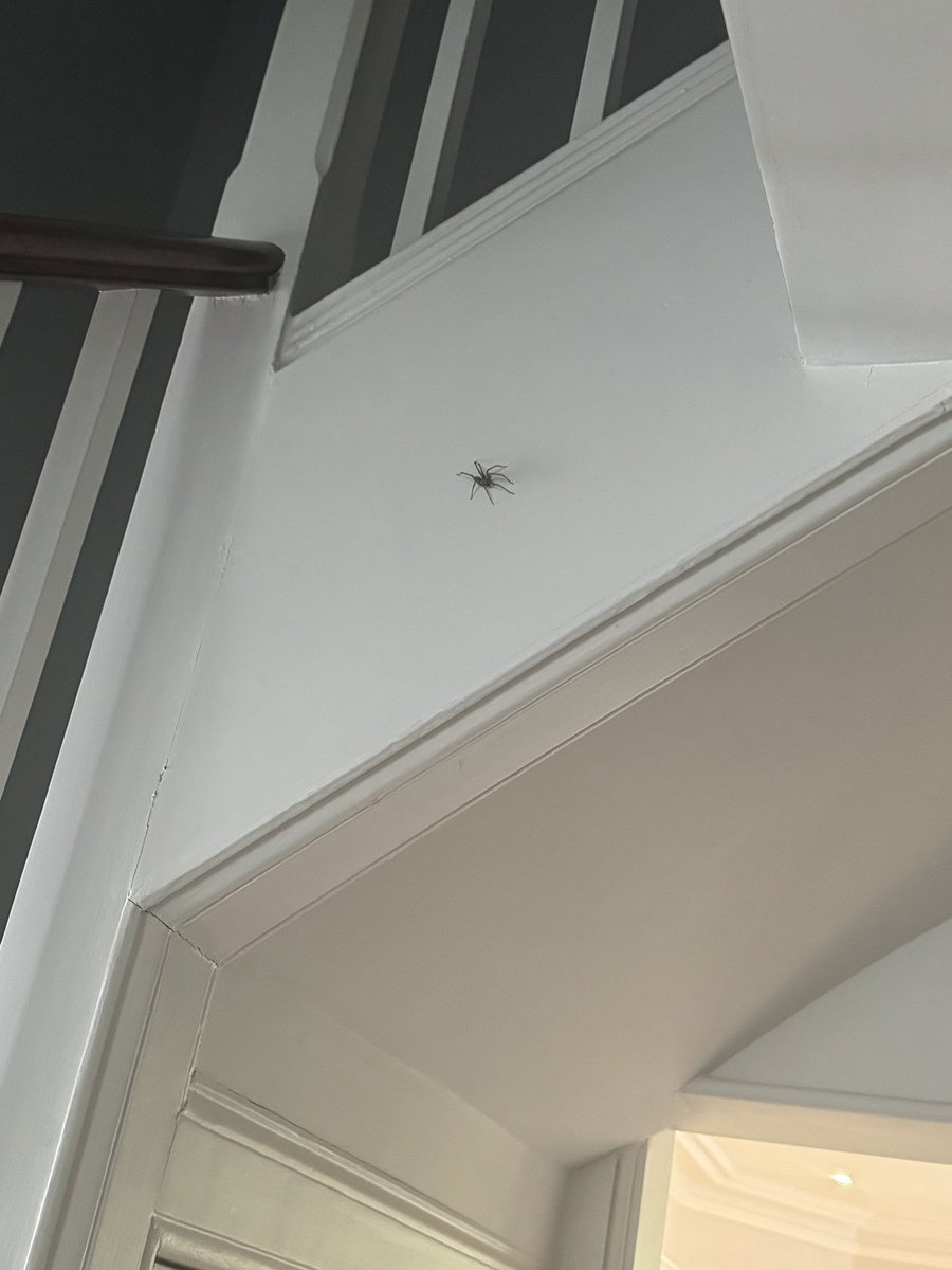 J.K. Rowling tweet media