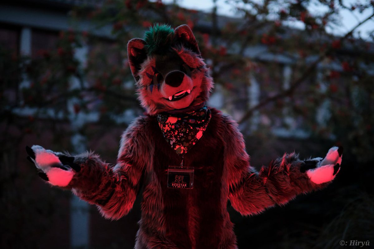How evil can an innocent
Wolf like me 👉👈
look so EVIL !? 😈 

🪡 SergNDerg 
📸 <a href="/HiryuTheDragon/">Hiryū</a>
🏰@/#redstar

#fursuit #FursuitFriday #furry #furryoc #furrypride #furrypaws #furrie #furryfandom #furrywolf #furryanthro #furrylife #furr #furriesofinstagram #furrycharacter #fursona