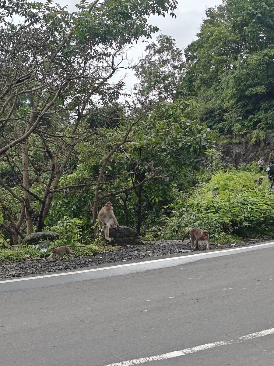 Good____Friends's tweet image. Sukoon ❤️ 

#quoteoftheday #mountain #lonavla #photography
