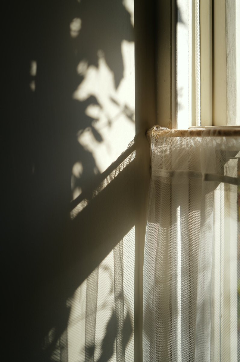 Dimitri Novikov 🇺🇦 tweet media