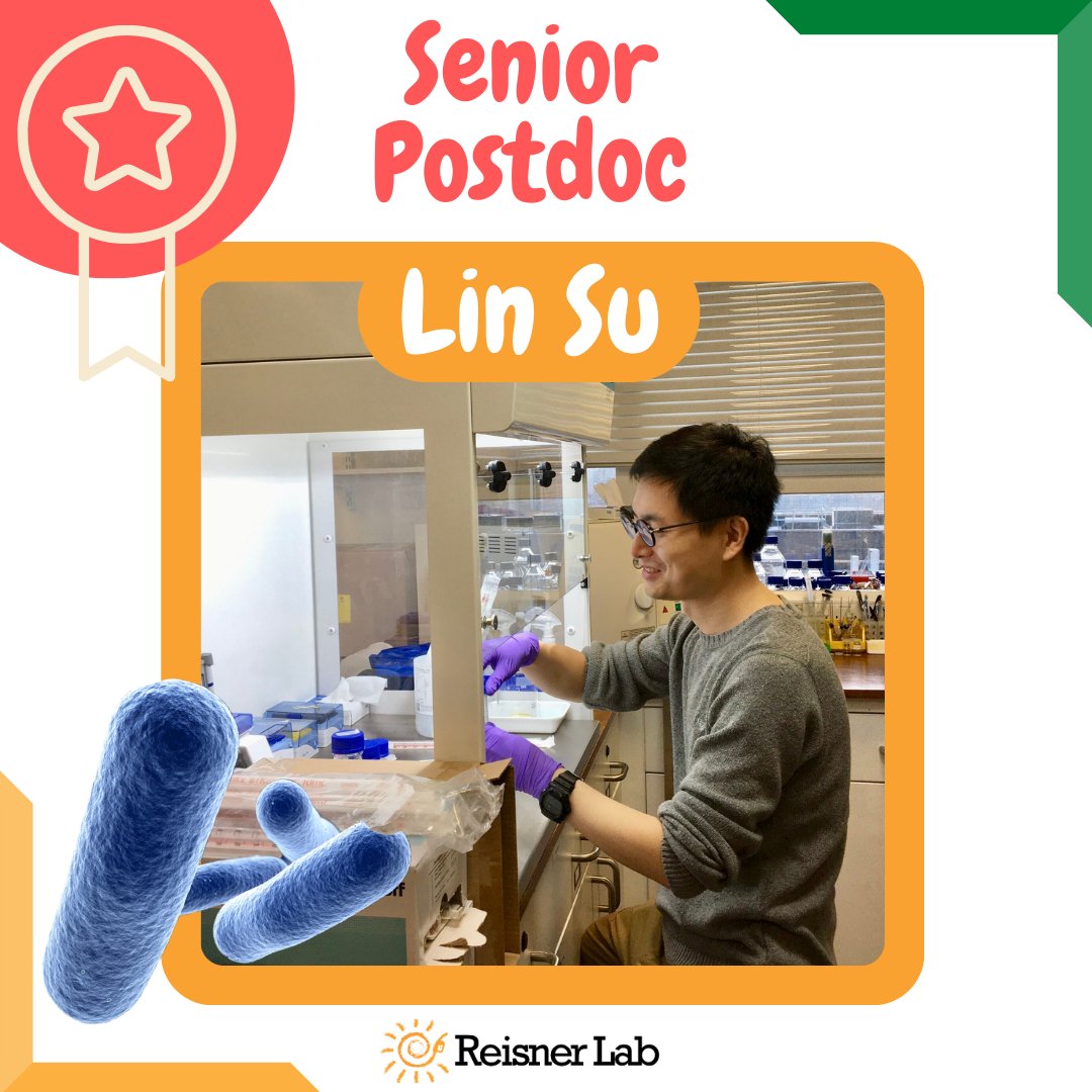 Congratulations to <a href="/su2lin_SEU/">Lin Su</a> for his promotion to Senior #Postdoc.
His solid experience with #bacteria will be extremely valuable to lead our projects on #cell hybrids 🦠