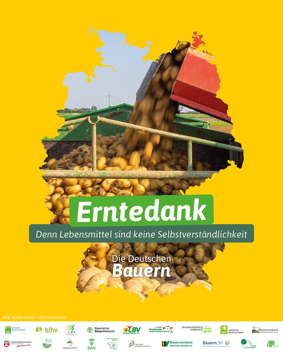 Wir vergessen viel zu oft, dass der Zugang zu ausreichend Lebensmitteln nicht überall auf der Welt eine Selbstverständlichkeit ist. #Erntedank hilft dabei, sich darauf zu besinnen, dass wir Menschen aufeinander angewiesen sind und es wichtig ist, sich gegenseitig zu unterstützen.