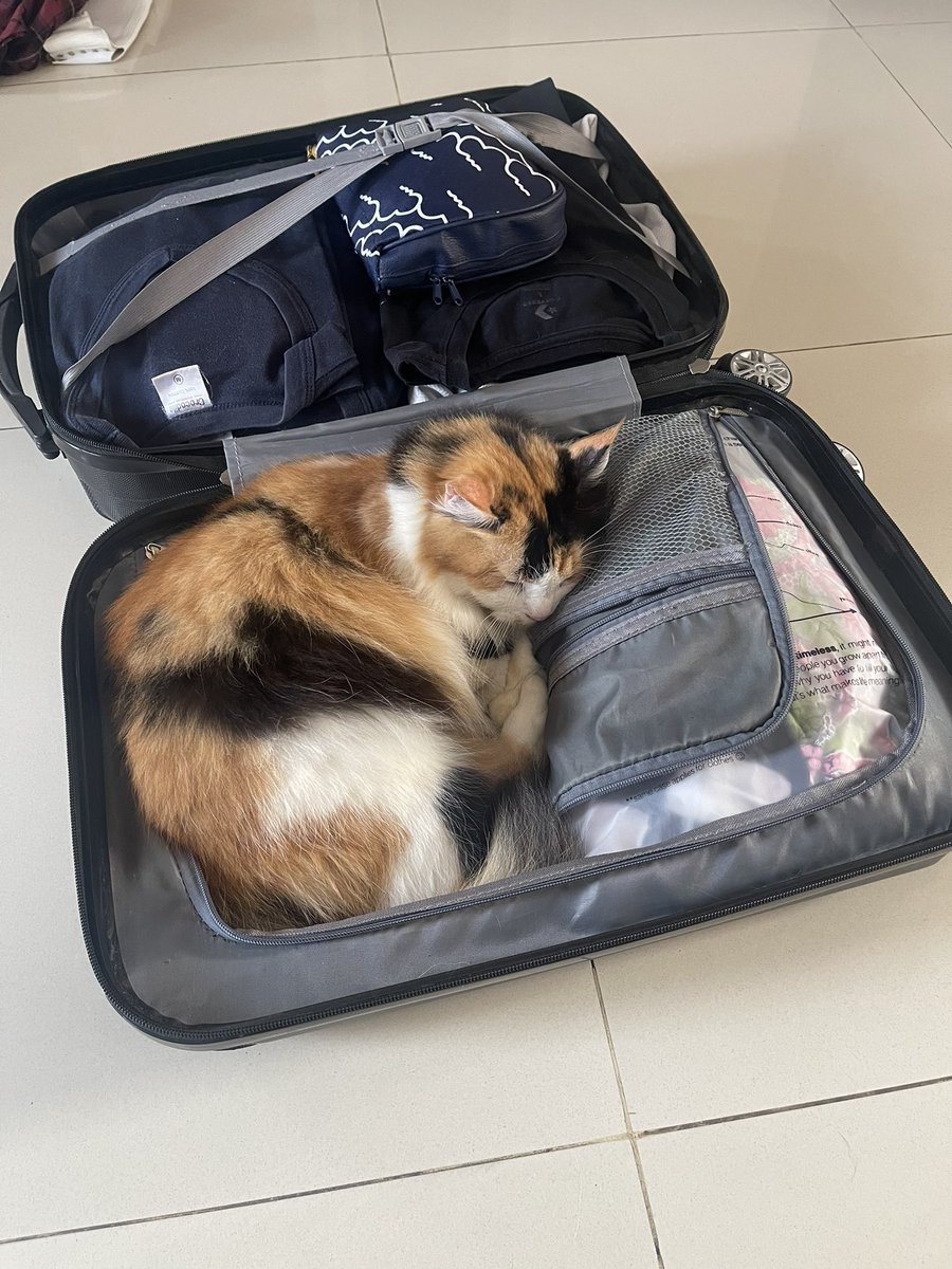 Jurus terakhir penghentian kepergian pi🥹