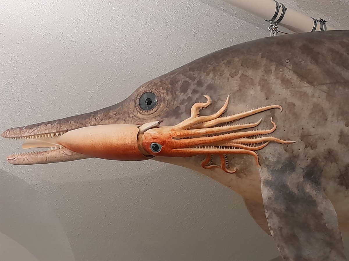 Jordan Bestwick tweet media