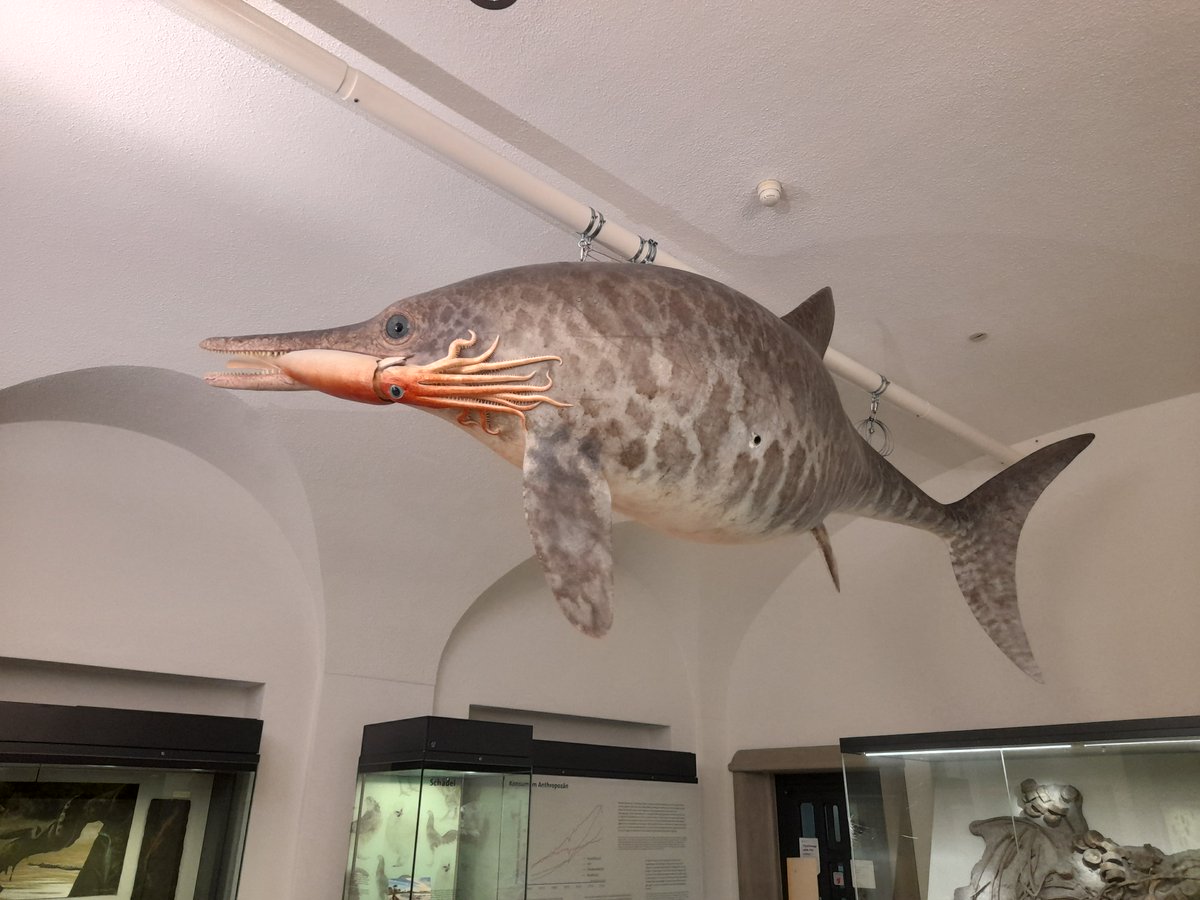 Jordan Bestwick tweet media