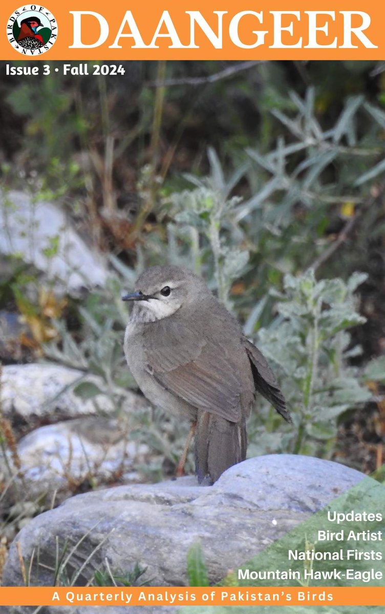 The Fall 2024 🍁 Issue of "Daangeer: A Quarterly Analysis of Pakistan's Birds" is out! 

Check out some important new findings in the ornithological world of Pakistan:
rewildinginduslibrary.org/archives/