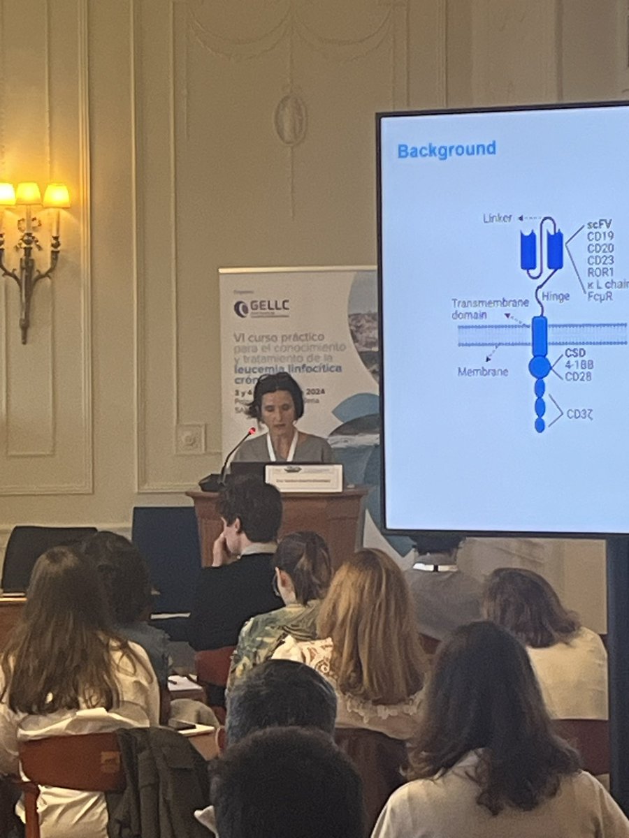sehh_es's tweet image. Termina la primera sesión de hoy en el #VICursoLLC, sobre #LLC en recaída/refractaria.

🗣️Una mesa en la que se ha debatido sobre mecanismos de resistencia, estrategias #terapéuticas, Síndrome de Ritcher y terpapia #celular, con los expertos👇 
👨‍⚕️@Sidnavigare
👩‍⚕️ María José Terol