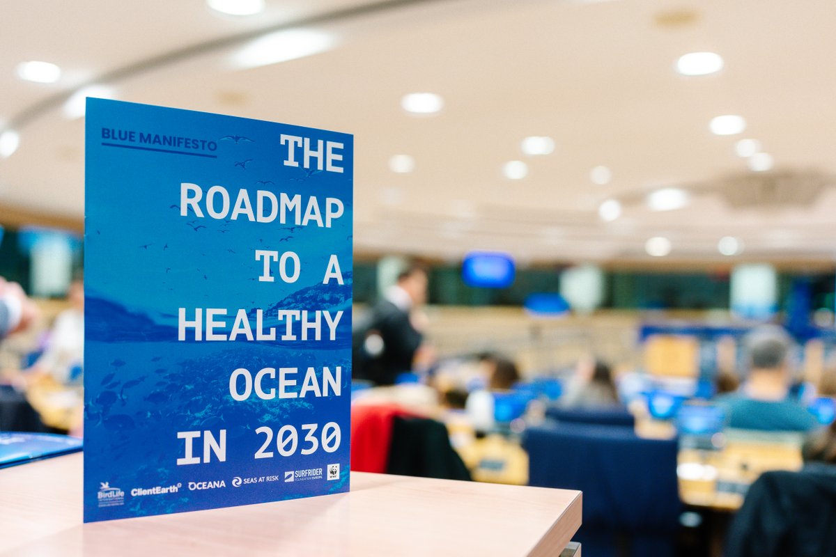 #EUOceanWeek should be every week. This week we brought the ocean at the <a href="/Europarl_EN/">European Parliament</a>  in #Brussels to deliver our new #BlueManifesto followed by events around what brings us all together : the #ocean. 
Learn more here 👉 i.mtr.cool/xmodwokjol #OceanDeal