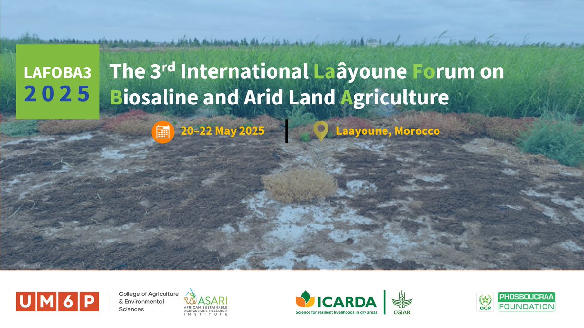 AGCUM6P's tweet photo. The Third International Laayoune Forum on Biosaline and Arid Land Agriculture is coming up! 🌍
📅 20–22 May 2025
African Sustainable Agriculture Research Institute
📍 Laayoune, Morocco
@UM6P_officiel 
https://t.co/dNJxLKIuuT https://t.co/KuipXmRHsk