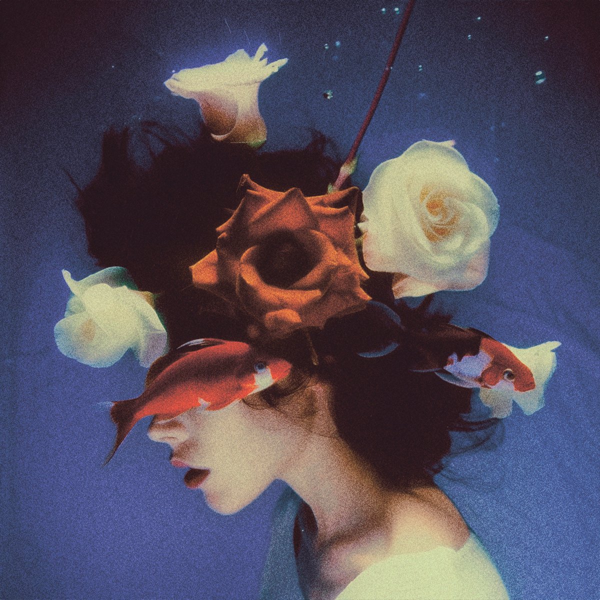 🔥Euphoria
👂Out on 10/11

👑Pre-save now
👉rootime.tunelink.to/euphoria

🎨Artwork
<a href="/nothinviewer/">nothinviewer</a>