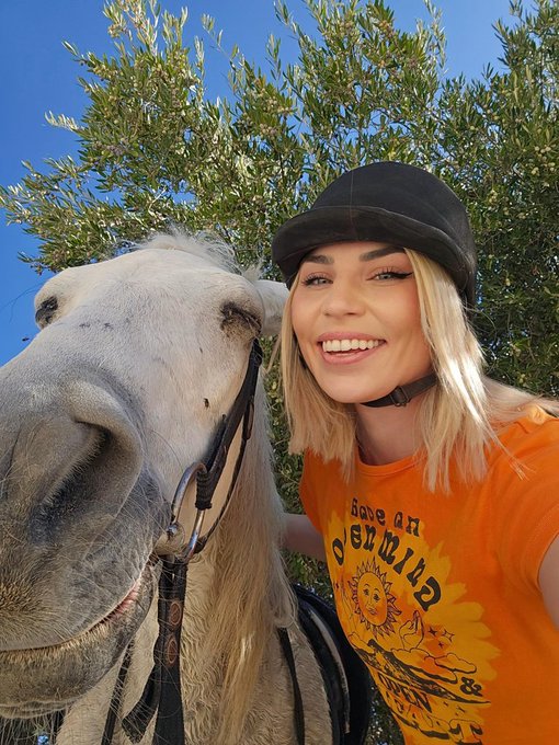 horse_stable