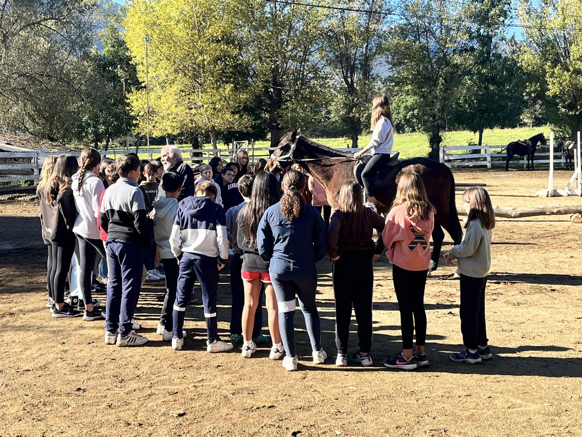 Bon dia! Ens hem llevat a la Cerdanya amb un dia radiant i ideal per muntar a cavall. Gaudint fins el darrer moment! #1rESO