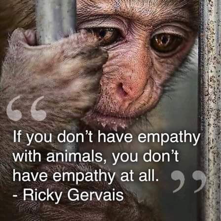 Ricky Gervais
Spot on

#WorldAnimalDay