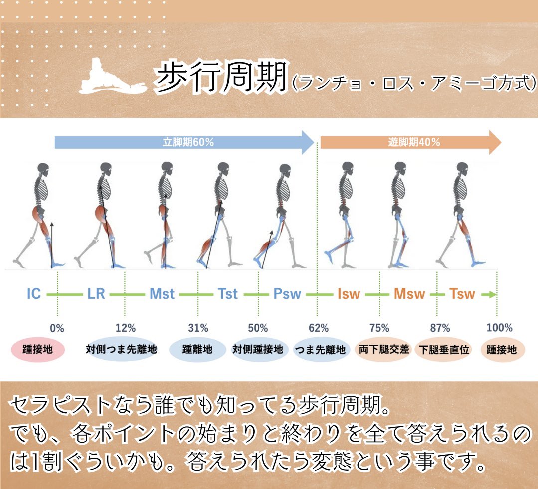 oshiroakito's tweet photo. 二足歩行の意義🦶

直立二足歩行は人間のみ。
圧倒的効率性と運搬が起源。

ただ順番としては、
①快適性
②安全性
③効率性
の順番で優先されます🚶

「異常歩行が問題だ！！」
ではなく、効率性を捨ててまでも
異常歩行を選んでいると解釈しよう。

#理学療法士
#Instagramもみてね
#歩行はおもろい https://t.co/rS2nNBG6YW