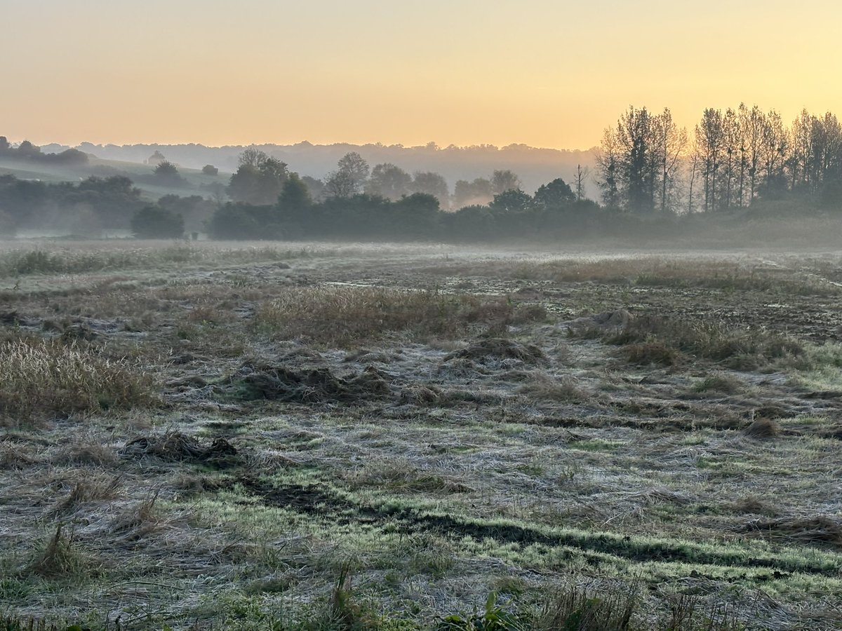🥶🌡️Petite #gelée blanche ce vendredi matin dans la vallée de l’Aubette, à #Omerville, non loin de #Magnyenvexin. Brume augurant d’une belle journée ensoleillée 🌞 😎