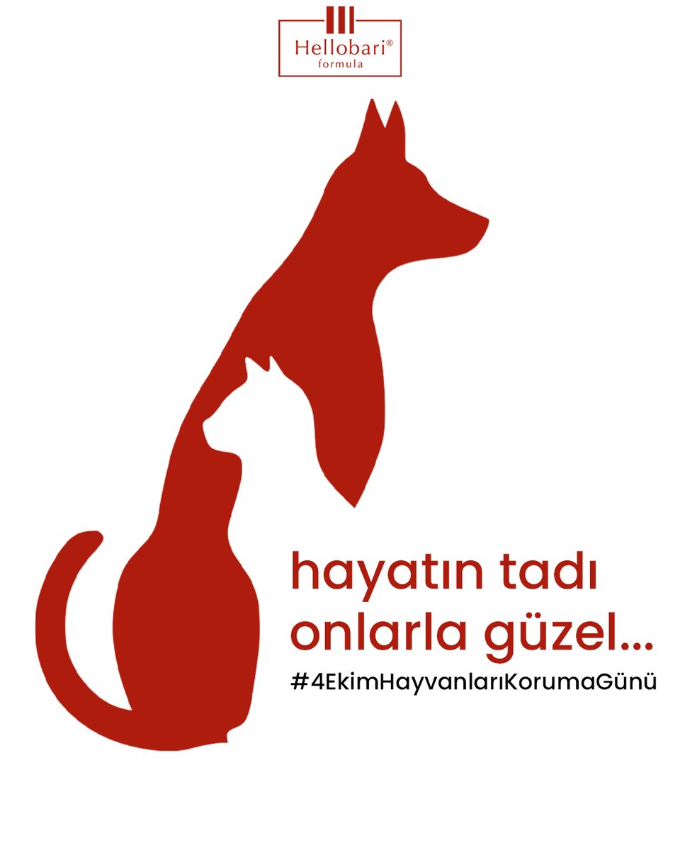 Hayat sizinle daha güzel, iyi ki varsınız. 🫶🏻

Hellobari ofisinden özel not: Katya, Fırfır, Bob, Mustafa ve Maya’nın anısına. Yaşattığınız güzellikler için teşekkür ederiz.

#4ekimhayvanlarıkorumagünü