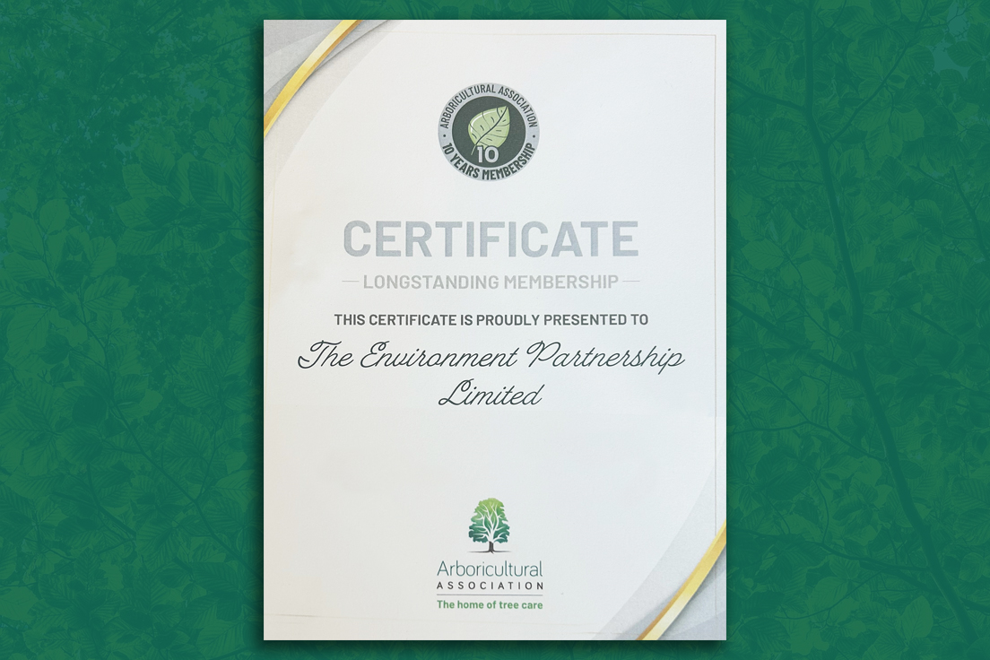 TEP (@tep_ltd) on Twitter photo Proud to celebrate 10 years with the <a href="/ArbAssociation/">Arboricultural Association</a>! Our #Arboriculture #Team is one of the UK’s largest, offering expert services in veteran trees, tree pests & diseases, planning law & more. We help a diverse range of clients across all major sectors meet goals sustainably.✨ Proud to celebrate 10 years with the <a href="/ArbAssociation/">Arboricultural Association</a>! Our #Arboriculture #Team is one of the UK’s largest, offering expert services in veteran trees, tree pests & diseases, planning law & more. We help a diverse range of clients across all major sectors meet goals sustainably.✨