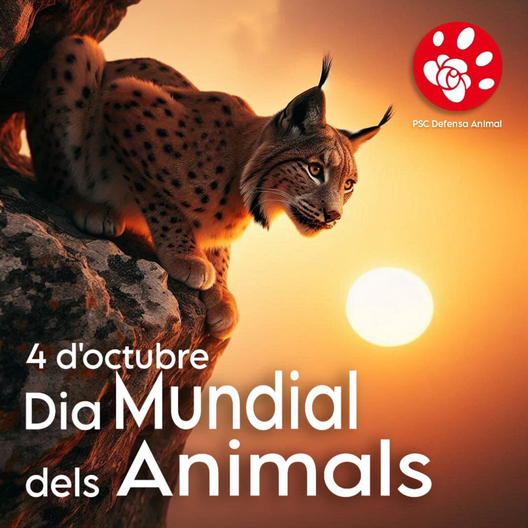 El 20% de les espècies animals estan en perill d'extinció. En el Dia Mundial dels Animals, recordem la nostra responsabilitat de protegir tant els hàbitats com els animals que hi viuen. Com a socialistes animalistes, seguim treballant pel seu benestar.💪🌹❤️#DiaMundialdelsAnimals