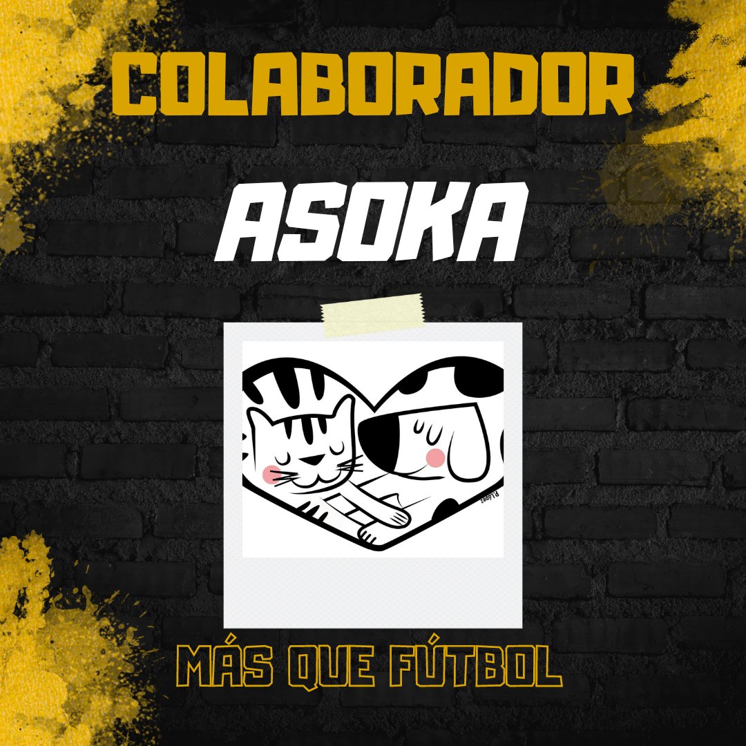 💛🐶🐱🖤¡Anunciamos la colaboración con @asokaorihuela! Juntos luchamos contra el abandono y maltrato animal y seguimos comprometidos con darles una segunda oportunidad. Si no puedes adoptar, puedes apadrinar o colaborar con una pequeña aportación. Cada ayuda cuenta #Masquefutbol