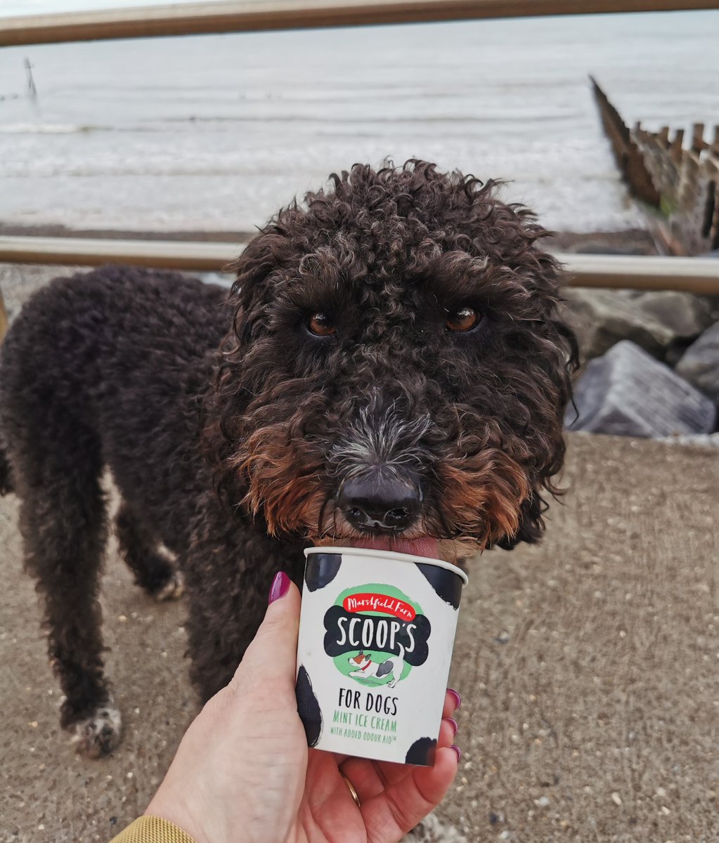 Waiting at the finish line on day three of our first ever Silver D of E exped. A tremendous effort all round!