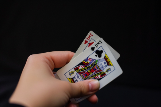 MaddisonDwyerX's tweet image. 🌐 Learn the basics of online blackjack with our easy-to-follow guides. Whether you’re a newbie or a seasoned player, we&apos;ve got tips for everyone! #BlackjackBasics #AustralianGambling
australiangamblingonline.com/casino-games/b…