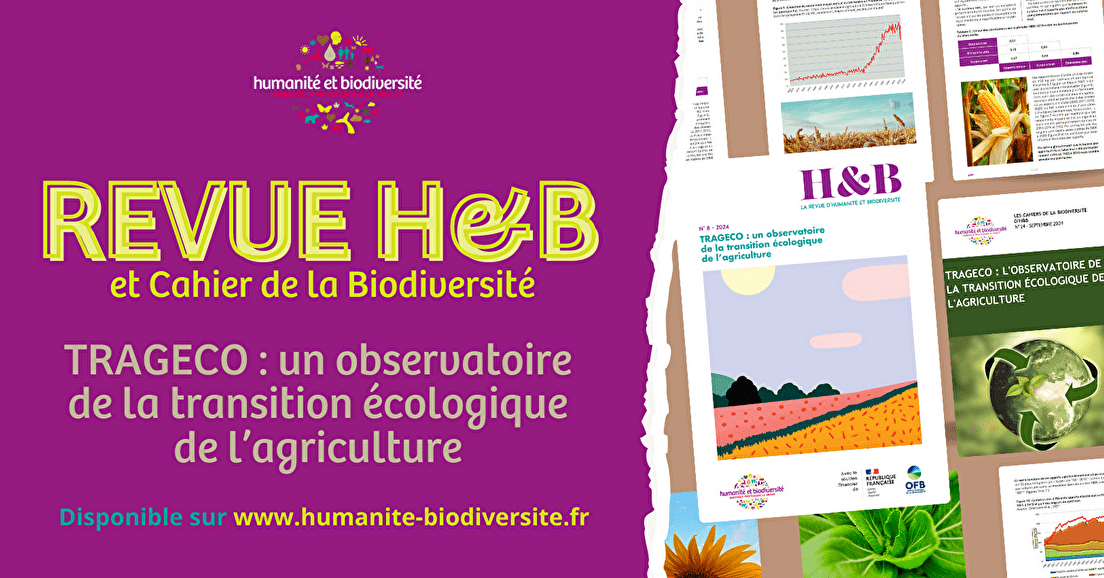 🌱 Nouvelle publication 🌿Humanité et Biodiversité vous présente aujourd'hui sa toute nouvelle Revue H&amp;B consacrée à TRAGECO, un observatoire dédié à la transition écologique de l'agriculture en France 🚜🌍 En savoir plus : humanite-biodiversite.fr/articles/15817…