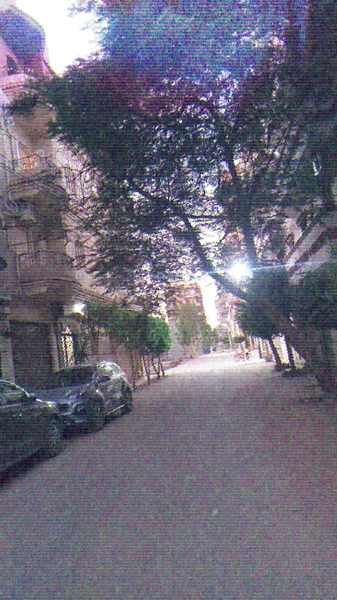 نفسى دماغى تكون هاديه زى الشارع كدا ...