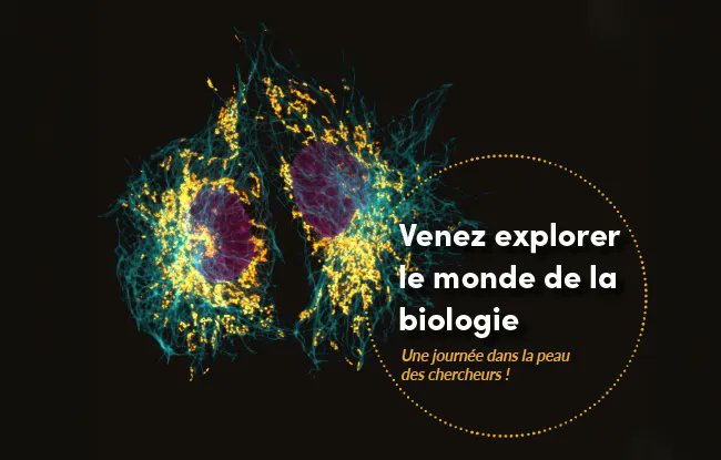Institut Curie (@institut_curie) on Twitter photo L'<a href="/institut_curie/">Institut Curie</a> vous ouvre ses portes à l'occasion de la Fête de la Science ! Au programme, des ateliers interactifs animés par les chercheurs de l'Institut Curie pour vous permette d’étudier notre organisme. Nous vous attendons nombreux ce week-end ↘️
curie.fr/fdls2024 L'<a href="/institut_curie/">Institut Curie</a> vous ouvre ses portes à l'occasion de la Fête de la Science ! Au programme, des ateliers interactifs animés par les chercheurs de l'Institut Curie pour vous permette d’étudier notre organisme. Nous vous attendons nombreux ce week-end ↘️
curie.fr/fdls2024