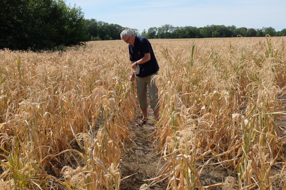 Umfrage zu erfolgreichen #Ackerbaustrategien bei #Trockenheit

Trockenheit  nimmt zu und stellt den #Ackerbau vor Herausforderungen. #Landwirtschaft und Forschung arbeiten bereits an Lösungen – doch noch ist nicht klar,  welche erfolgversprechend sind.

umfrageonline.com/c/ru79nnbj