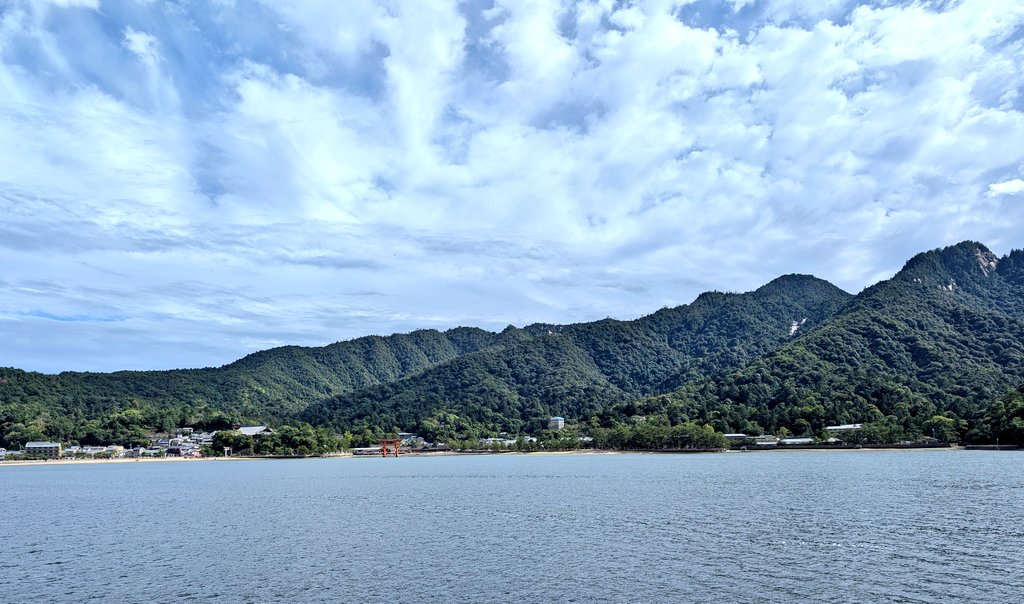 katie_brinker12's tweet photo. Miyajima island with a grumpy deer. https://t.co/iAWMWTrbGa