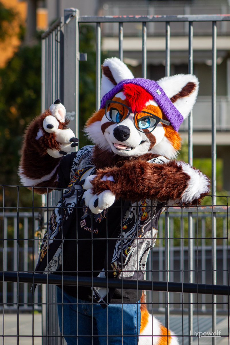 Hey you! It’s #fursuitfriday time!
📸:<a href="/LHypewolf/">Hype 🐾</a> 
🪡:<a href="/StuffedTailsFur/">StuffedTailsFursuits |STF|</a> 
#furry #fursuit #FursuitFriday #fursuiter #furryfandom #RedPanda