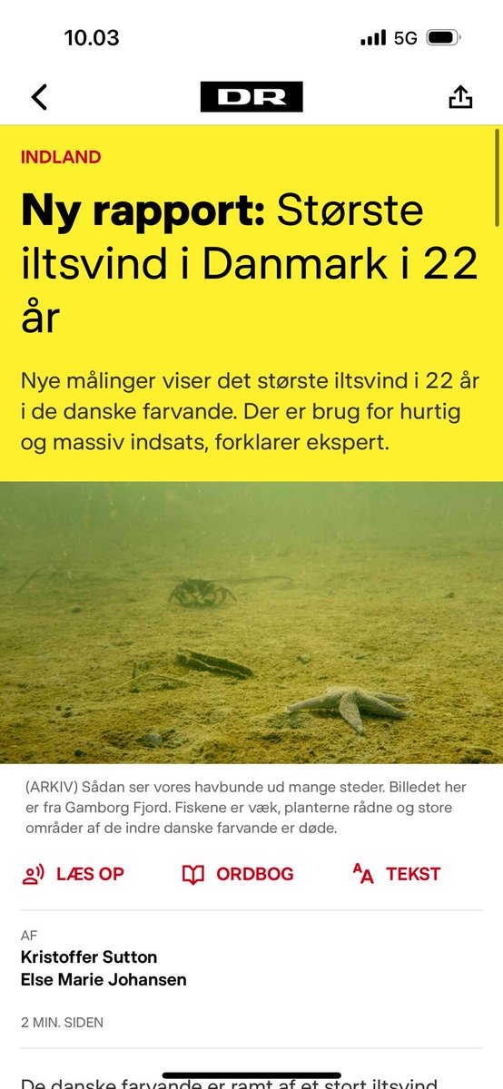 Lars Midtiby tweet media